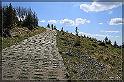 _MG_0493_FS