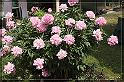 IMG_0751_FS