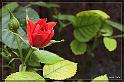 IMG_0758_FS