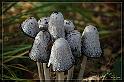 IMG_3386_FS_FS