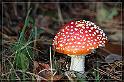 IMG_3394_FS_FS