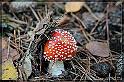 IMG_3413_FS_FS