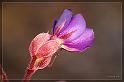 IMG_3425_FS