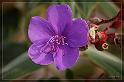 IMG_3428_FS