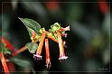 IMG_3432_FS
