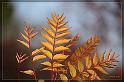 IMG_3443_FS