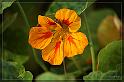 IMG_3479_FS