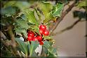 IMG_3485_FS