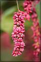IMG_3486_FS