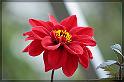 IMG_3493_FS