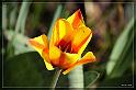 IMG_3661_FS_FS