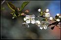 IMG_3692_FS_FS