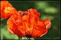 IMG_4046_FS_FS