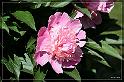 IMG_4061_FS_FS