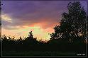 IMG_0881_FS
